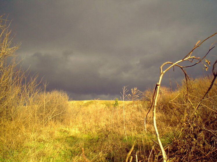 Эрхэм жиргээчиддээ шинэ өдрийн мэнд хүргэе. Та бүхний энэ 7 хоногийн ажил, үйлс бүтэмжтэй байгээ.