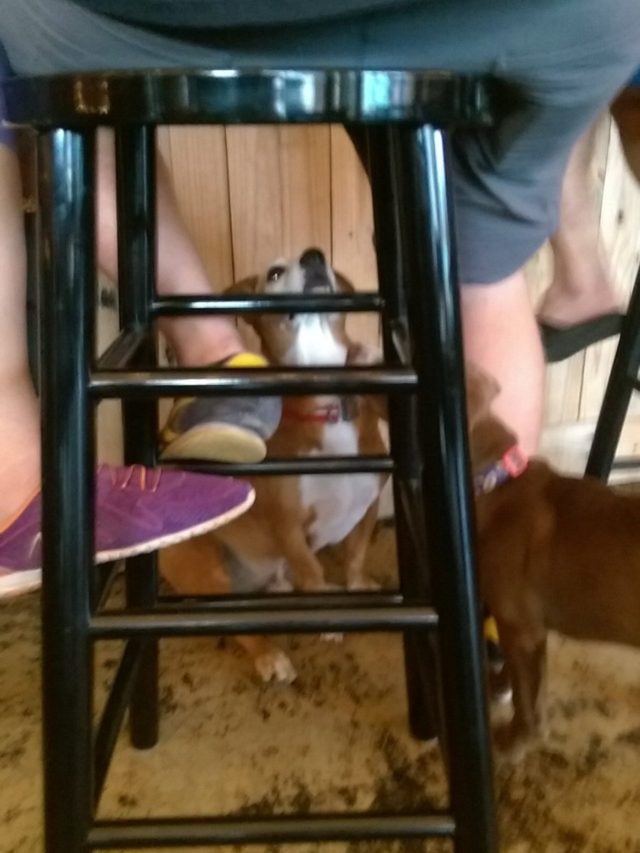 These guys have pizza. Can you tell?