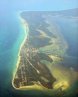 lucesdelsiglo's tweet photo. #QuemanHolbox el manglar desapareciendo #SOSHolbox @SEMARNAT_mx https://t.co/6VaDi5yYGi