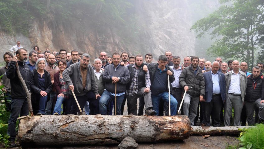 Vali"Bakıra engel olanın kafasını koparırız"demişti.Yarın karar günü:
Kafa koparan mı?
Ormanı koruyan mı?
#Cerattepe