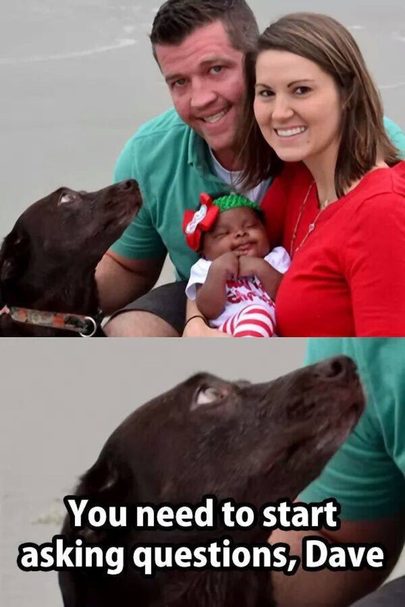 Someone has some explaining to do..