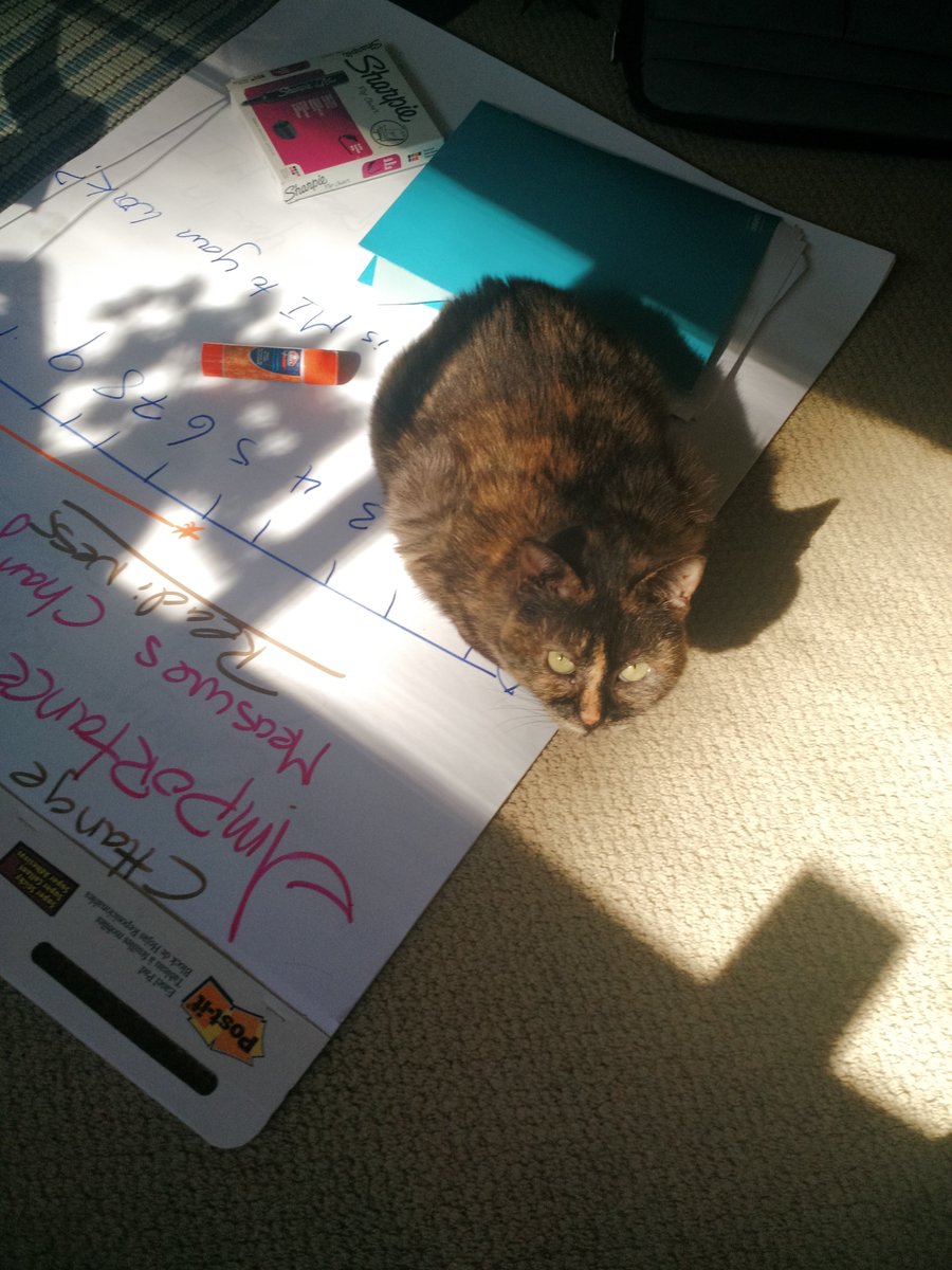 affirmingchange's tweet image. MY #MICAT helps with #MItraining.