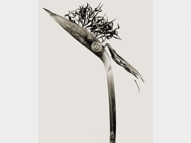 #NEW | 20 expos de #arte este otoño en #Madrid -> Noche Europea de los Investigadores madridseduce.com/20-exposicione…