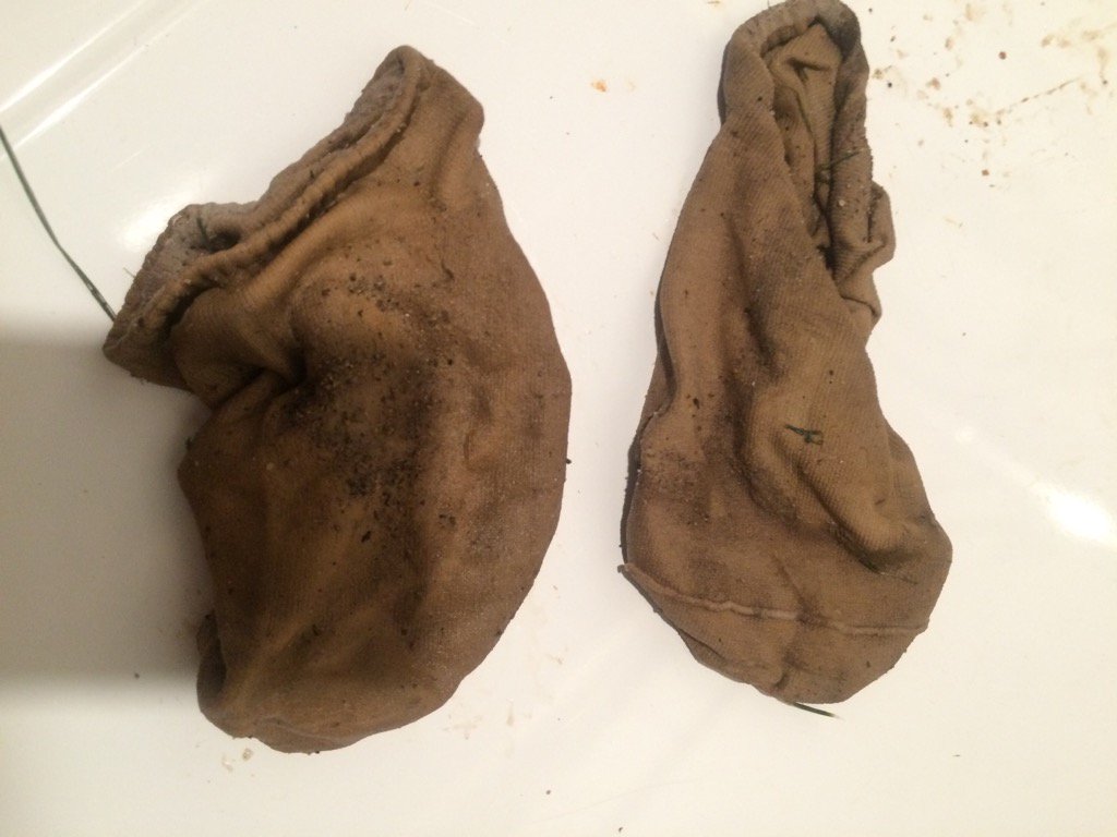 CarolBangert's tweet photo. White socks worn by @LivBangert at Junior Achievement Mud Run #needmorebleach https://t.co/8qTqpjiUVi