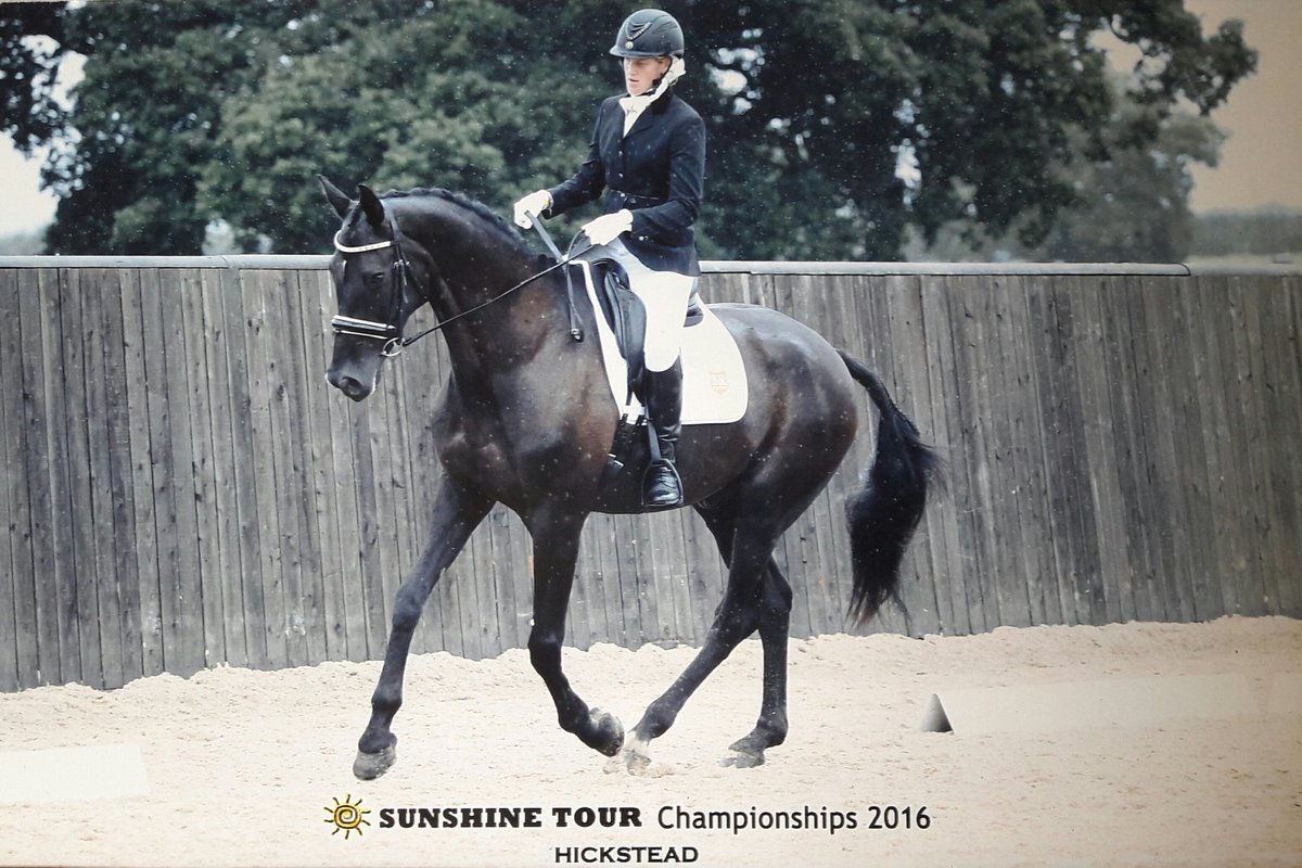 Spider was a superstar at the Sunshine Tour. Thankyou <a href="/CamillaJames1/">Camilla James</a> &amp; <a href="/stylereins/">stylereins</a> for all your Support #equinehour