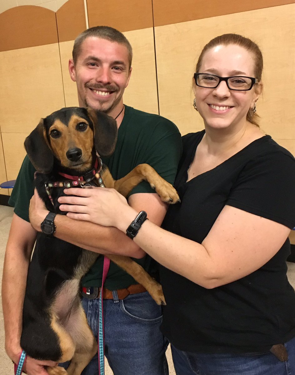 PetSmart1718's tweet photo. Coco found a #furever home! Congrats to the whole family! #AdoptLove https://t.co/DBjktMo9Gf