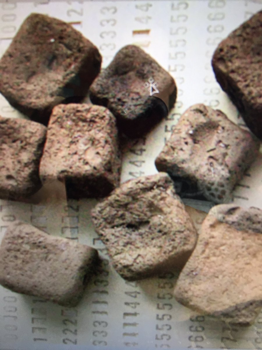 TheFunBucket's tweet image. Can you tell what animal made this shit? Listen to the newest @WTAPod on #soundcloud to find out.