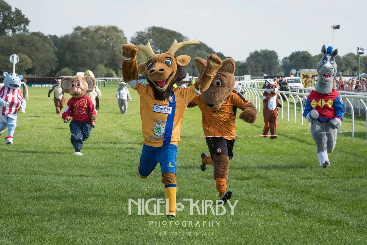 Nigel Kirby Photography (@nigekirby) on Twitter photo "Sammy The Stag" wins the <a href="/Childrens_Trust/">The Children's Trust</a> 10 Year Anniversary Mascot Race at <a href="/UttoxeterRaces/">Uttoxeter Racecourse</a> <a href="/mansfieldtownfc/">Mansfield Town FC</a> "Sammy The Stag" wins the <a href="/Childrens_Trust/">The Children's Trust</a> 10 Year Anniversary Mascot Race at <a href="/UttoxeterRaces/">Uttoxeter Racecourse</a> <a href="/mansfieldtownfc/">Mansfield Town FC</a>