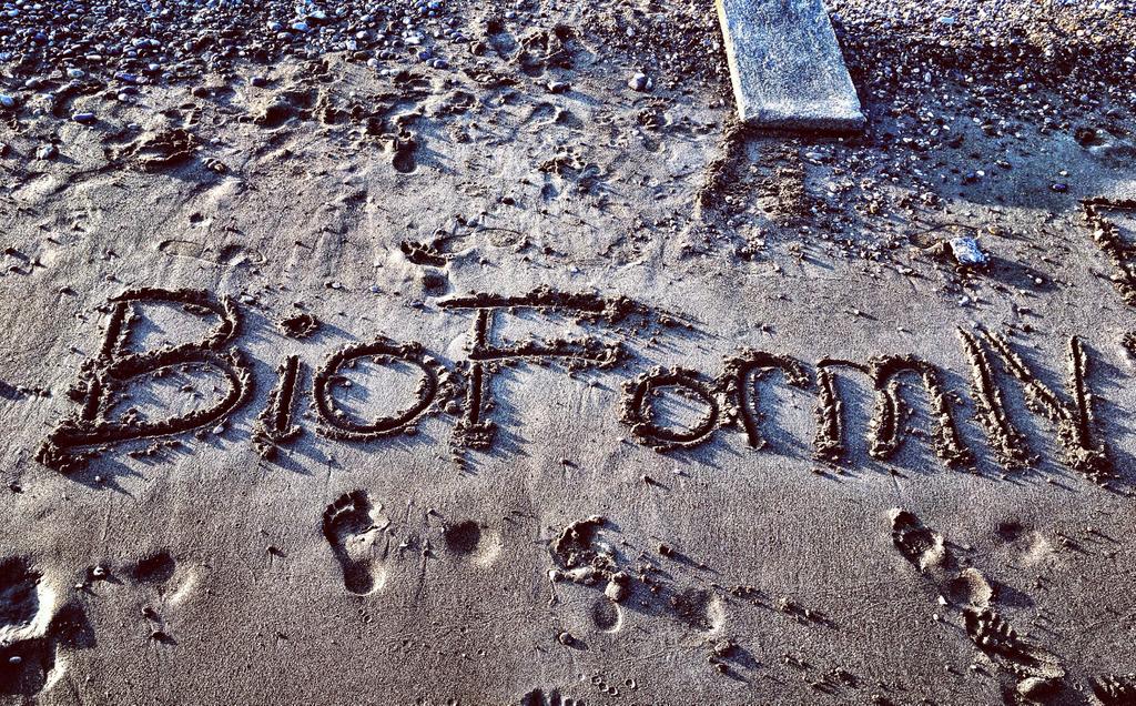 Tatil bitti, dönem başlıyor..
BioForm IV bomba gibi geliyor, takipte kalın 🔜