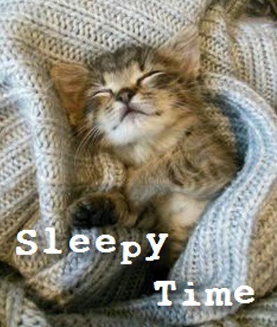 KnowMeSee's tweet photo. #TodayIHave mostly been asleep https://t.co/q1E82grWNc
