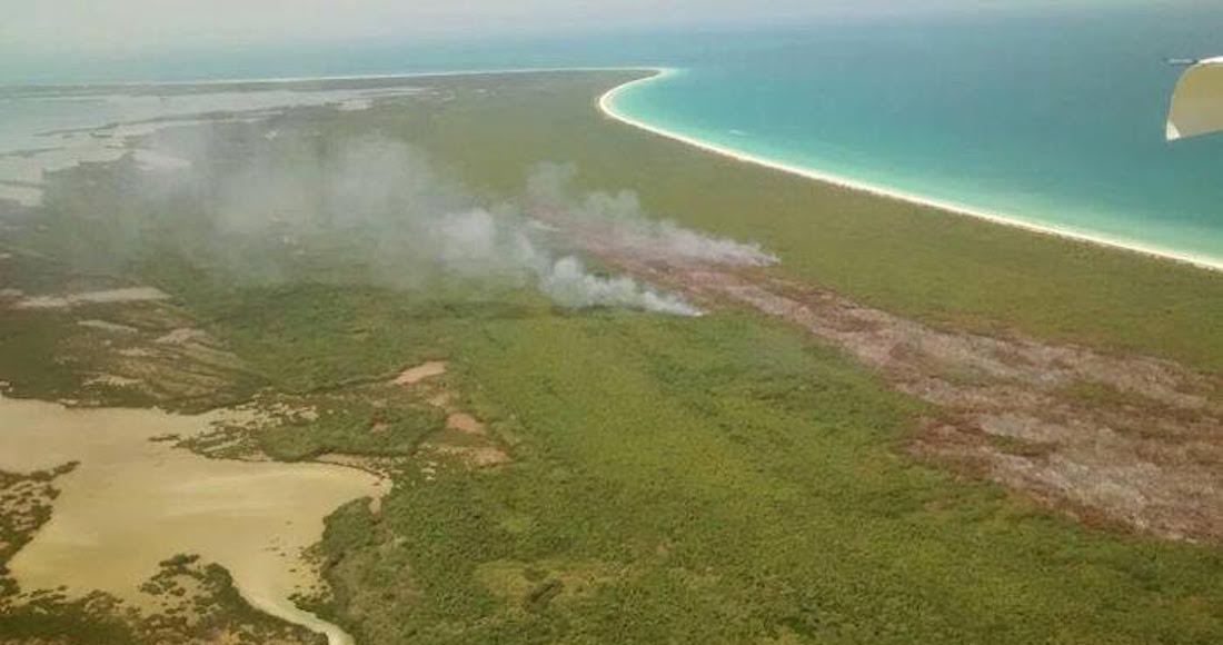 SinEmbargoMX's tweet photo. Reserva natural en Holbox se incendia, y activistas creen que fueron hoteleros ambiciosos https://t.co/jptH0Mnieh https://t.co/9dFyxEALLM