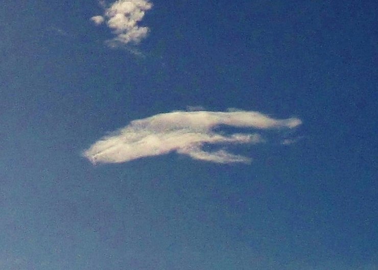 Discovery112611's tweet photo. Just like #aliens can transform to show themselves in cloud form, so can #QuantumCreatures #AncientAliens #Mythology https://t.co/RvKIhE0vlc