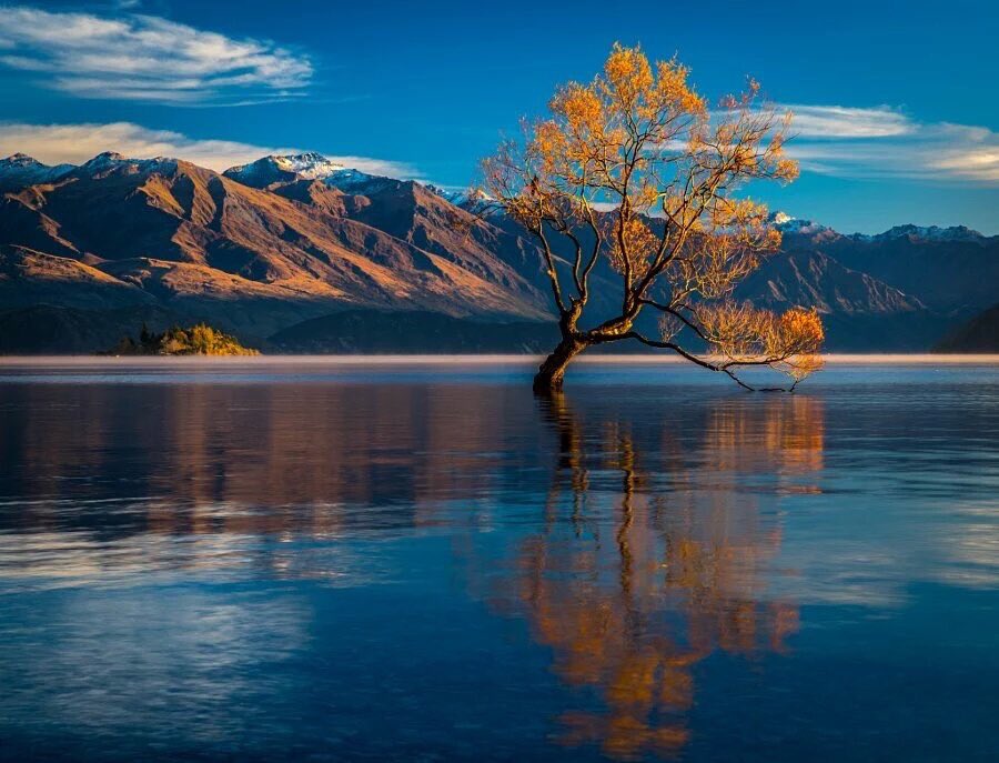 Estrella51Ahora's tweet image. Have a pleasant &amp;amp; peaceful evening 
Twitter-Friends!🌟