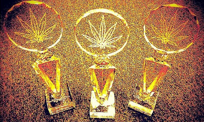 highergtv's tweet photo. @BongTimeTravel! Congrats! The hell with the #Emmys - we're giving out the Stoneys! #Emmys2016 #LegalizeIt https://t.co/uVV9D29Gnq