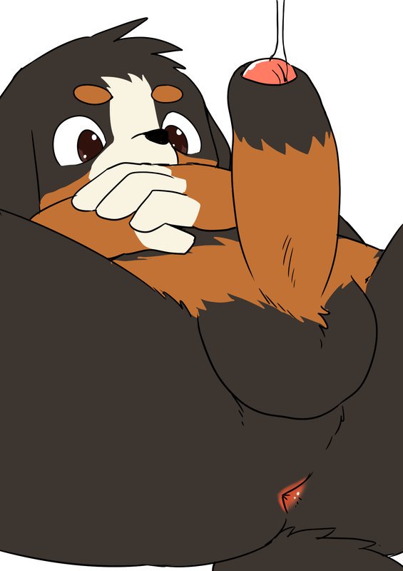 Bull_Bear_Daddy's tweet photo. Heh,I've always been extremely horny, even as a pup  ; ) https://t.co/ykDEZTXky9