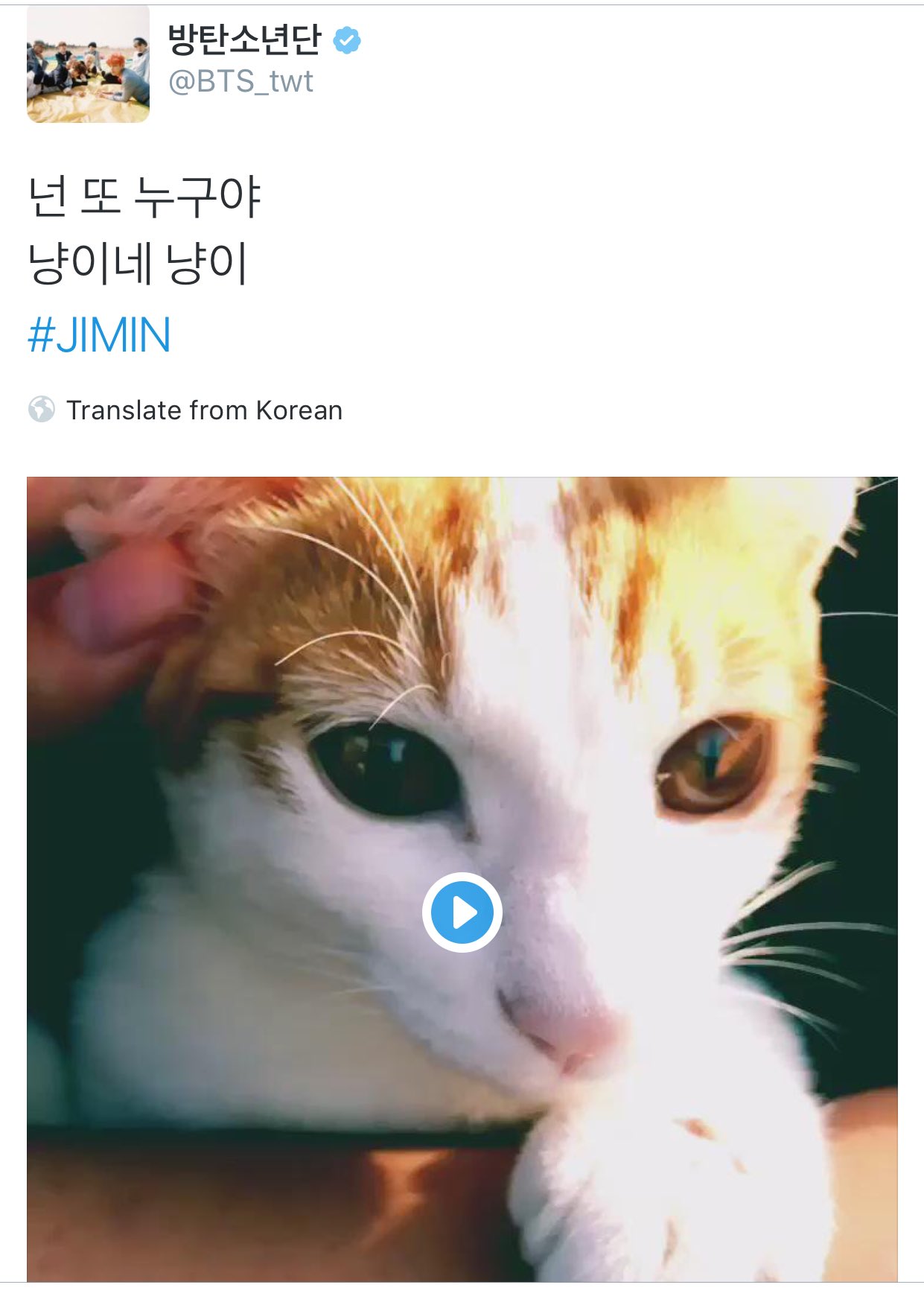 k. on Twitter "Reason 9 Jimin and Cats™…