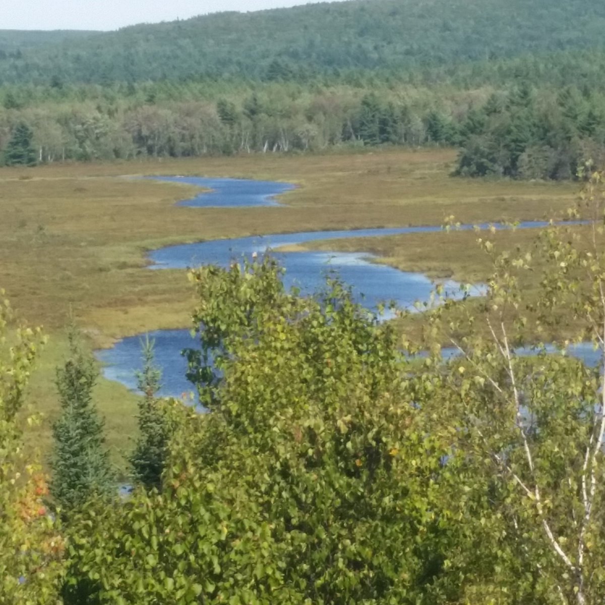 MikeACable1's tweet image. Well no bears for us in maine but what a wonderful time in camp we had. The food was amazing. Beautiful country!