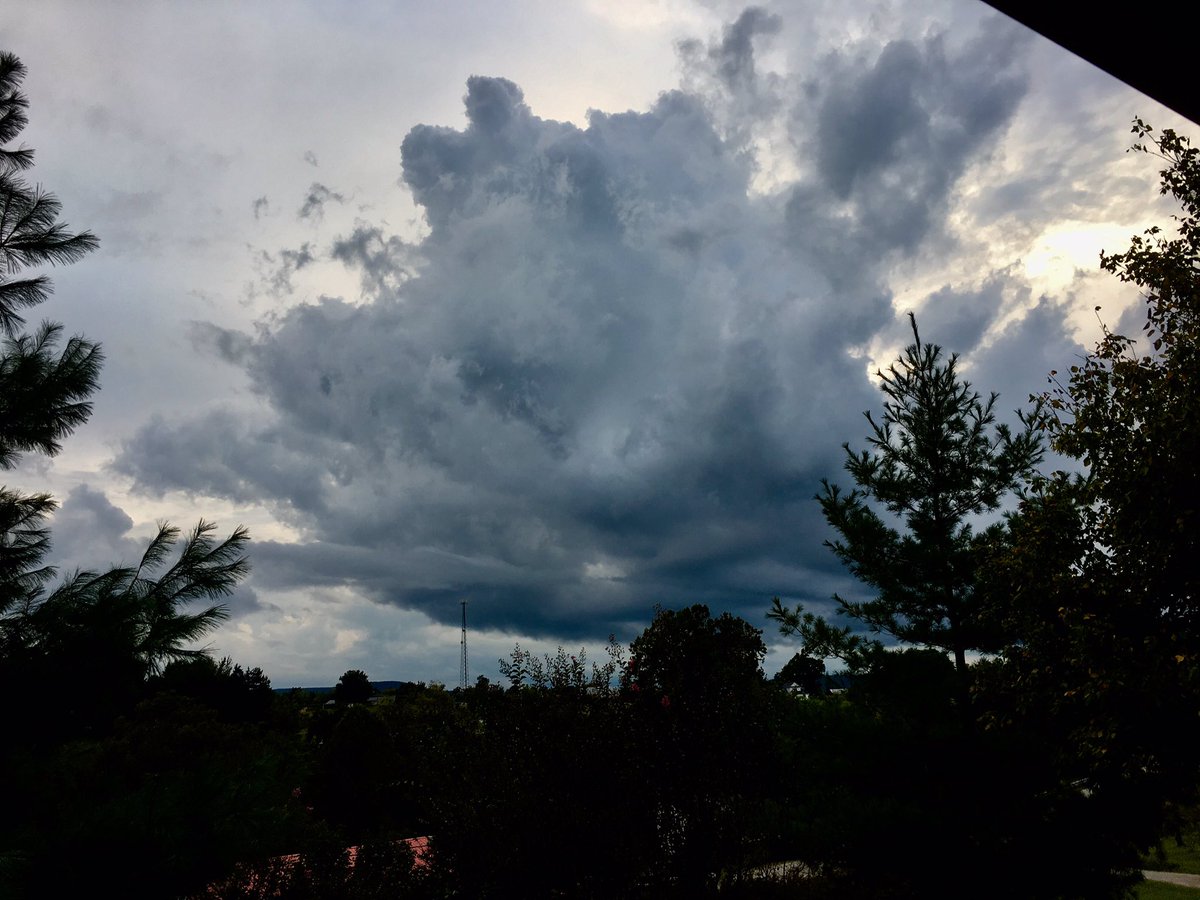 Camo_Spider's tweet photo. 20% chance of rain? ☁️ #AlphaKY #kywx @Kentuckyweather https://t.co/LZ4HvmXRMv