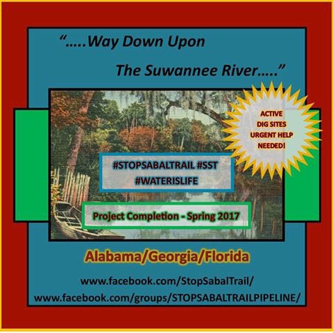 StrawberryLyme's tweet photo. #stopsabaltrail #nodapl #waterislife #protecttheenviroment #saveoursprings #Florida #pipeline https://t.co/mziuqThRWH