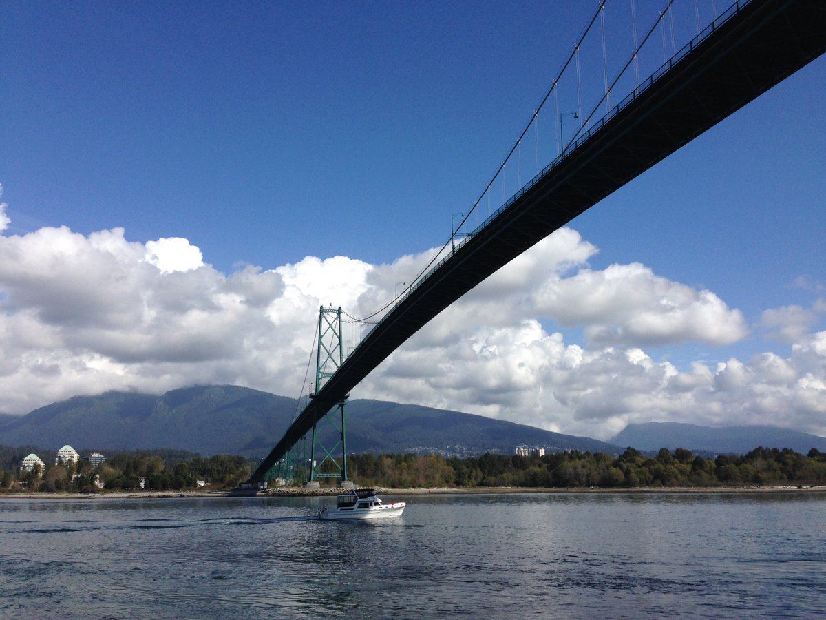 arabellaboop's tweet photo. Nothing like walking the #seawall to clear your head #lionsgatebridge #sunshine #vancouver https://t.co/dSE6JACng6