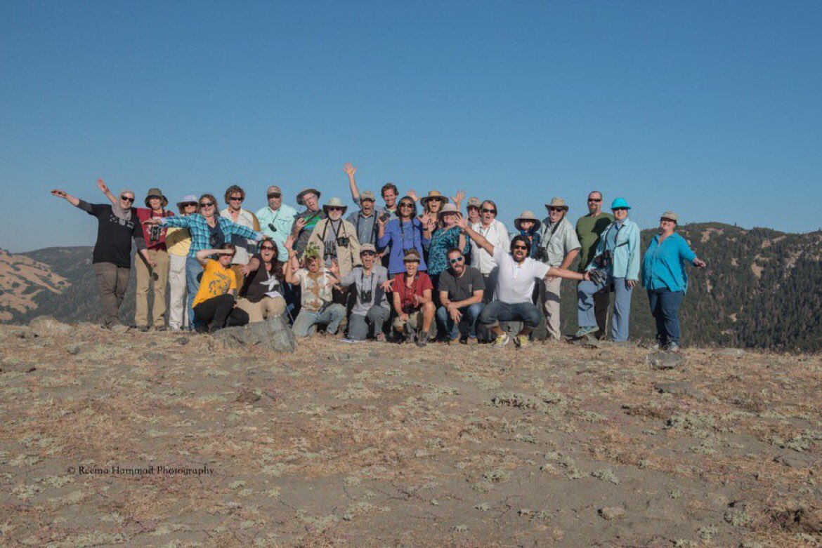 DianaRohini's tweet photo. Last week: Spent @designgirl86's birthday with our California Naturalists group. #CalNat2016 #tejonranchconservancy https://t.co/sCsYxjAGDu