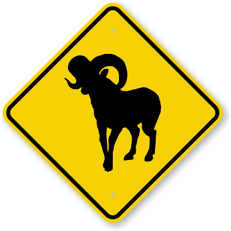 Bighornedpicks's tweet photo. @stilts_12 Hi Aaron we always remind fellow Big Horns 2 bet responsibly. On our signs:"Know ur limit,play within it" https://t.co/u6tOUXnja6