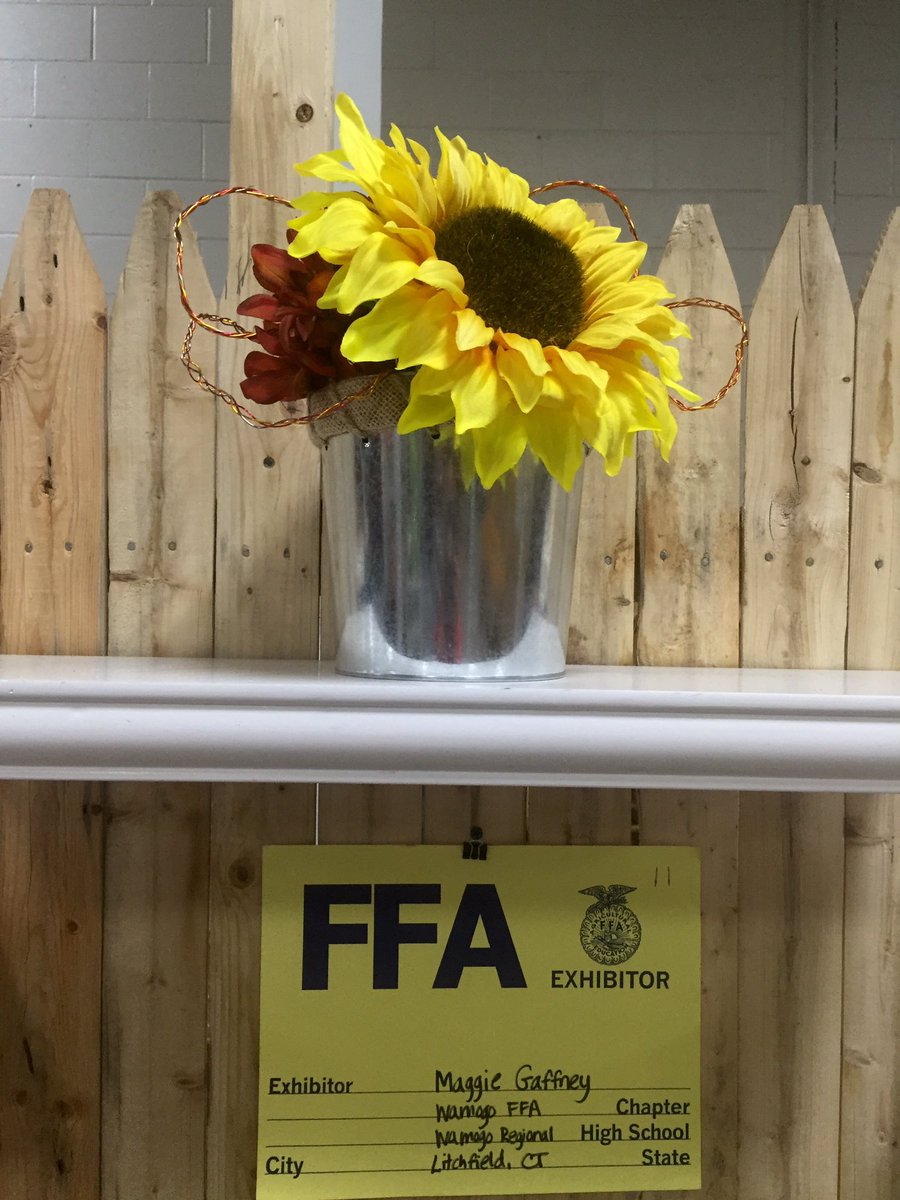 Region6Gardens's tweet photo. Big E theme this year: Celebrating 100 Years of the Big E. Congrats to Resa for placing 6th out of 30 entries! https://t.co/gCEaVLuOAa