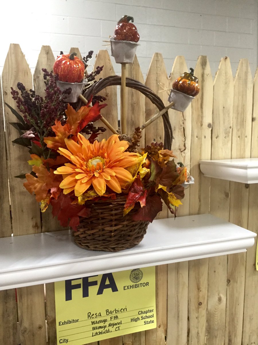 Region6Gardens's tweet photo. Big E theme this year: Celebrating 100 Years of the Big E. Congrats to Resa for placing 6th out of 30 entries! https://t.co/gCEaVLuOAa