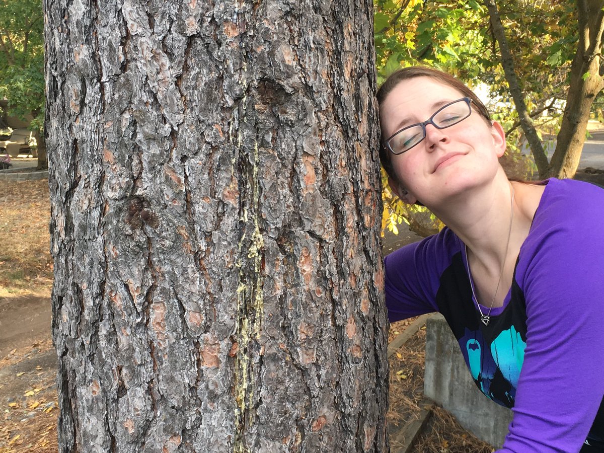 WAModifiedDolls's tweet photo. Our Doll (supporters!) are helping forests w @eddiebauer and @AmericanForests by hugging trees! #hug2give #onetree https://t.co/gl9krdzx9r