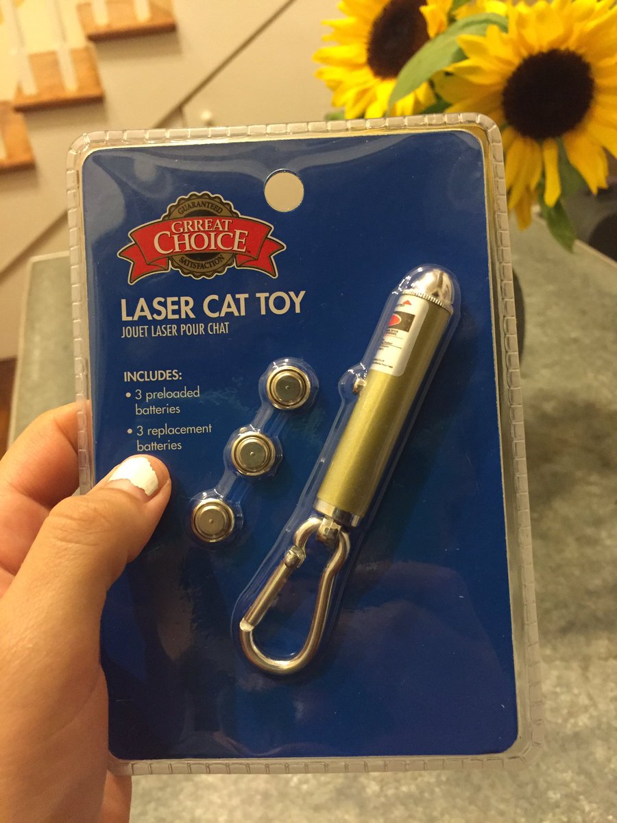 LiveGirlsComedy's tweet photo. Do not point at power point presentations with this. This is a cat toy. I repeat. Cat. Toy. https://t.co/zn7QMH6hDY