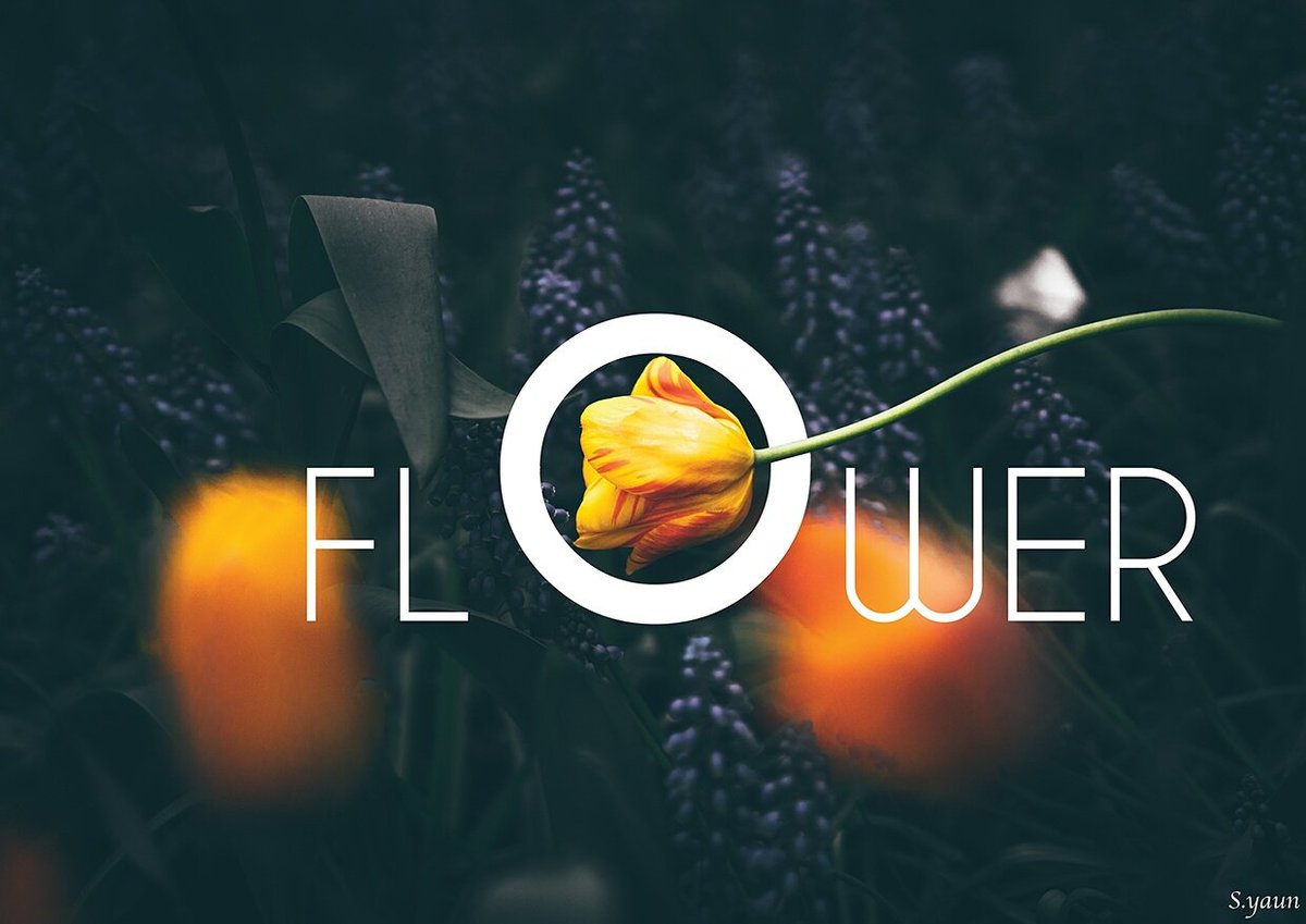 Endcrackegg's tweet image. #design #graphicdesign #illustrator #photoshop #art