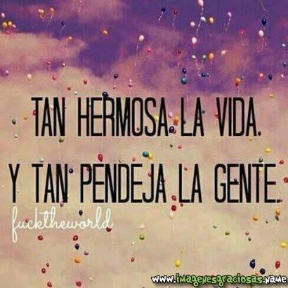 ivonneroched's tweet photo. si bueno, bueno... probando 1, 2, 3,.... Mi ego no me permite relajarme x como veo a los novatos de FB.. #JACINTA https://t.co/3GfTAezre3