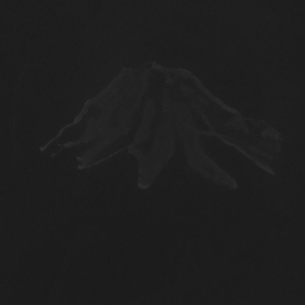 bacteriANNE's tweet photo. Bioluminescent Rainier #LuxArt #Bio350 @markowenmartin https://t.co/QeyrBxNOj5