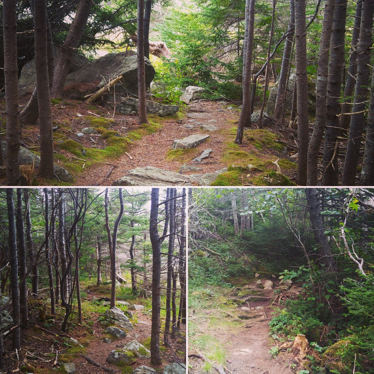 SwyersKA's tweet photo. #hiking the beautiful @EastCoastTrail #tinkerspointpath & #beachespath #yyt #nlwx #daydreaming # nature #writerslife https://t.co/Hybsf0azEH