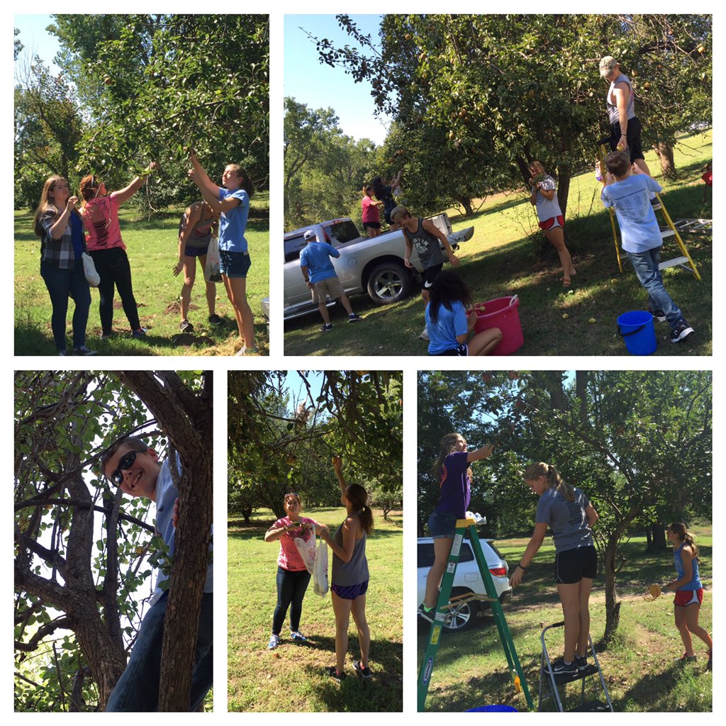 Thank you to the Bowers Family for donating 371 pounds of pears &amp; apples and Chisholm Community Outreach for picking