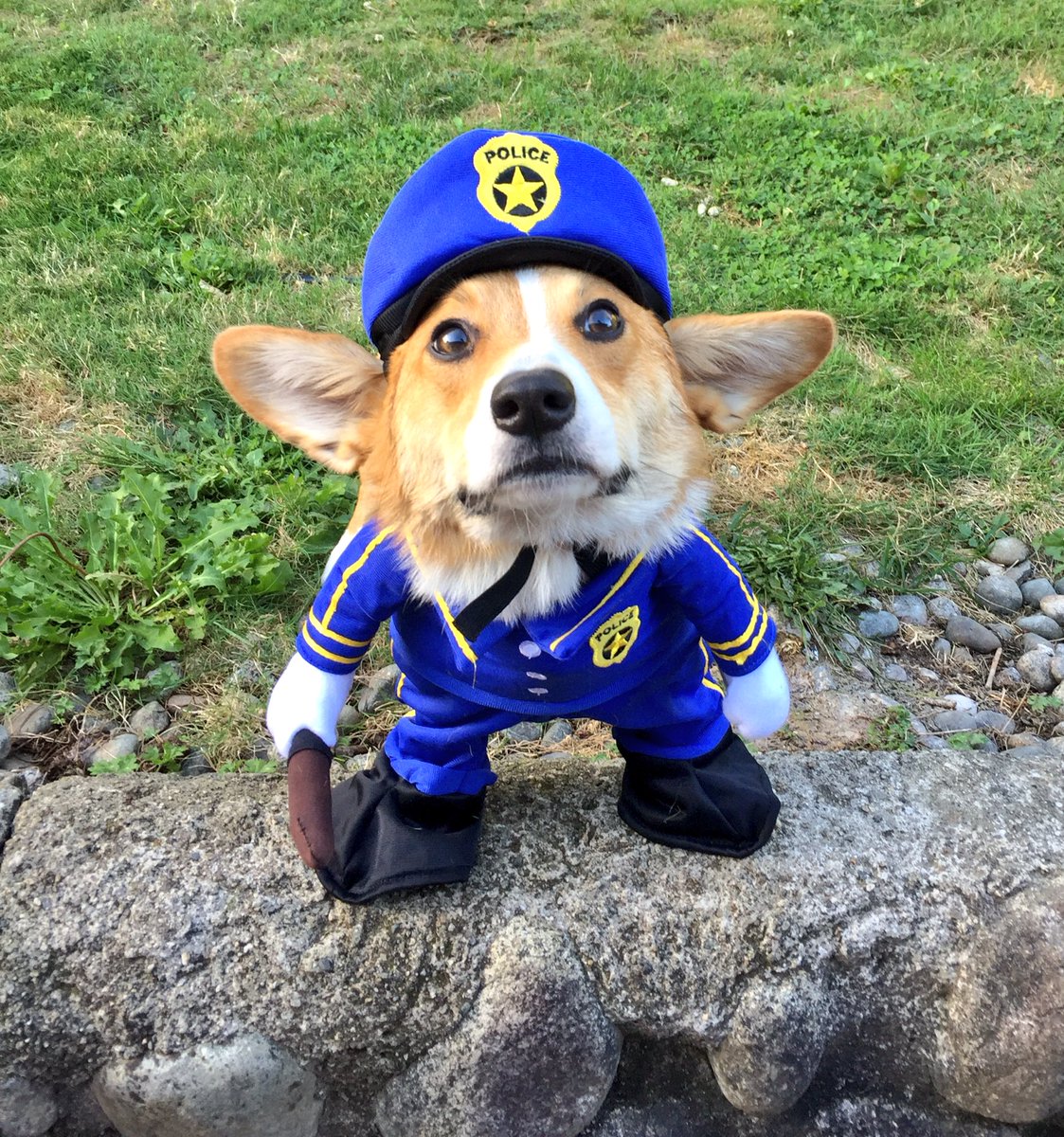 Part of bein a good cop is to be able to 