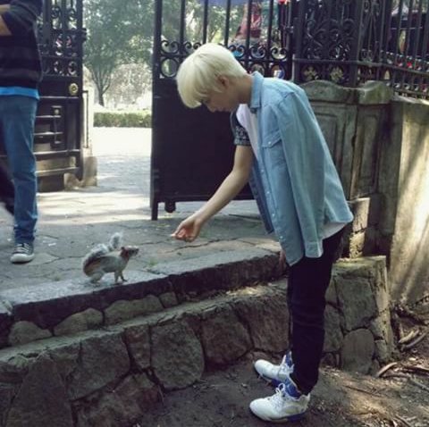samasand29's tweet photo. #Ren #Aron #Baekho #Minhyun #Jr
#NuestinMexico Septiembre 18, 2015 https://t.co/P2UPcuiBHj