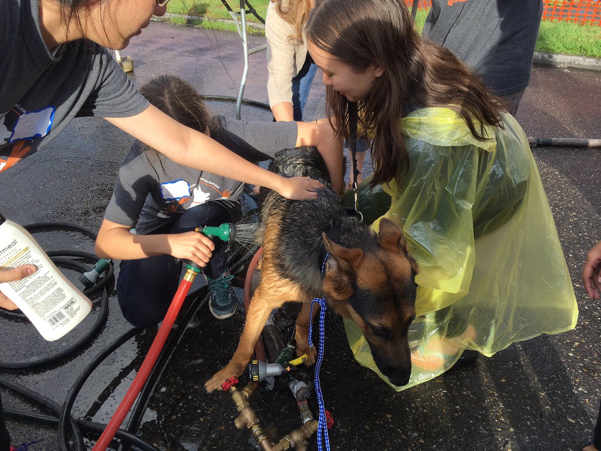 we gave two (2!) dogs their first ever bath today at #dogtoberfest