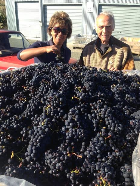 RubyBayWines's tweet image. Pinot Noir Harvest 
#rubybayvineyard #nelson #nzwine #pinotnoir #awardwinning