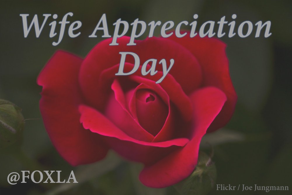 Wife Appreciation Day Best Event in The World