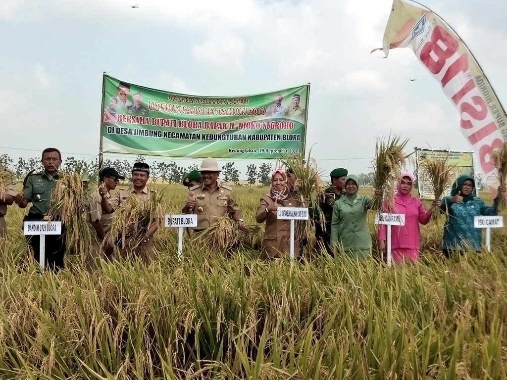 info_Blora's tweet photo. Alhamdulillah, warga Desa Jimbung Kecamatan Kedungtuban hari ini panen raya padi dihadiri Bupati Blora Djoko Nugroho https://t.co/9I6Y3cJHSH