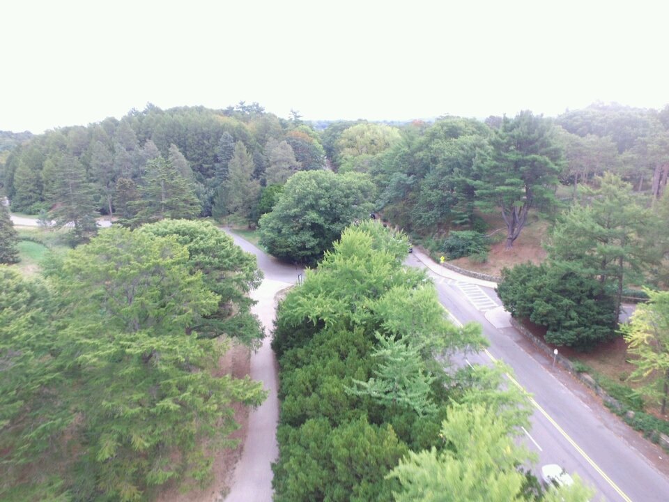 VMELimoService's tweet image. #drone #picture #wedding #vmelimoservice