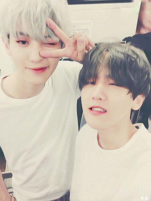 exoasgayporn tweet picture