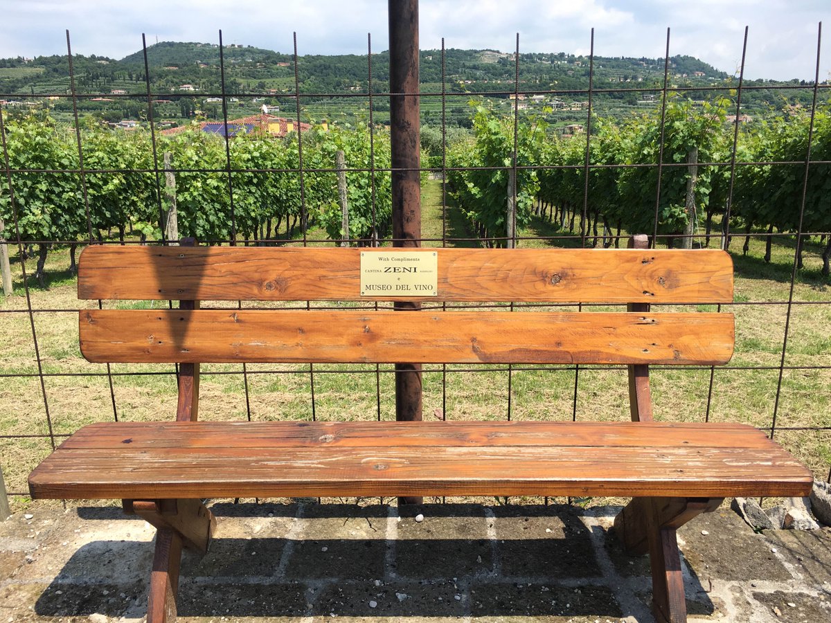 Bardolino (@bardolino_sun) on Twitter photo Bardolino wine is something to embrace, why not head up to <a href="/Zeni1870/">Cantina Zeni</a> for a taste of Italy #Vino #Veneto #plantlife Bardolino wine is something to embrace, why not head up to <a href="/Zeni1870/">Cantina Zeni</a> for a taste of Italy #Vino #Veneto #plantlife