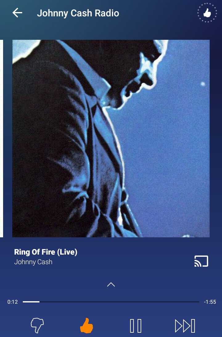 Kat_Espi's tweet photo. On that "no skips" Pandora https://t.co/jPok0CUBD2