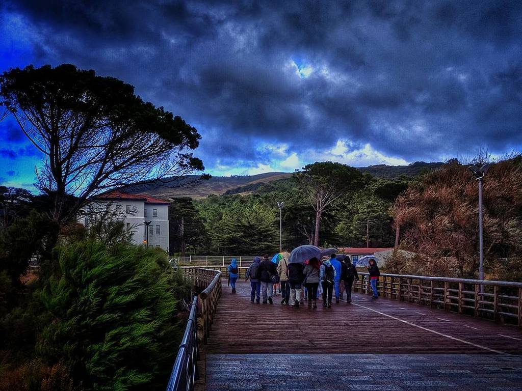 Paigar's tweet photo. Recuerdos de #ayer. Instameet #Bilbao en #Gorliz arrancando bajo el paraguas. #visitgorliz #BilbaoEnImagenes https://t.co/PJYjQaqw97