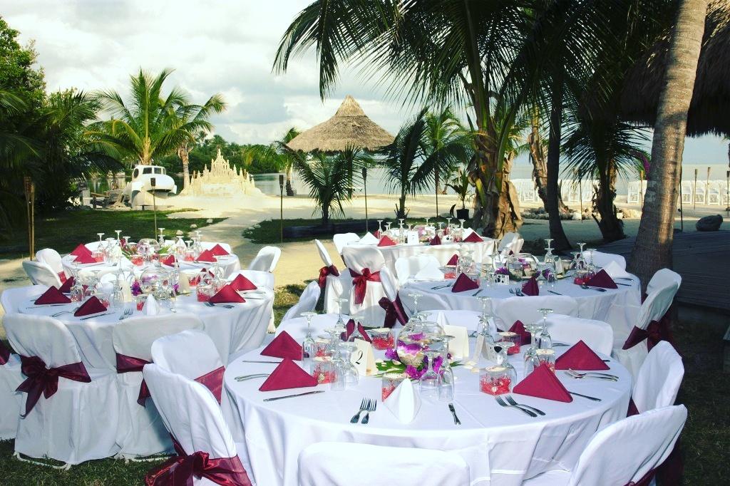 JamesNyale's tweet photo. Calm,confident and ready to make your event one to remember?
For seats and tents hire,
☎-0722372892
#Mojayevents https://t.co/EWtLVpO0cF