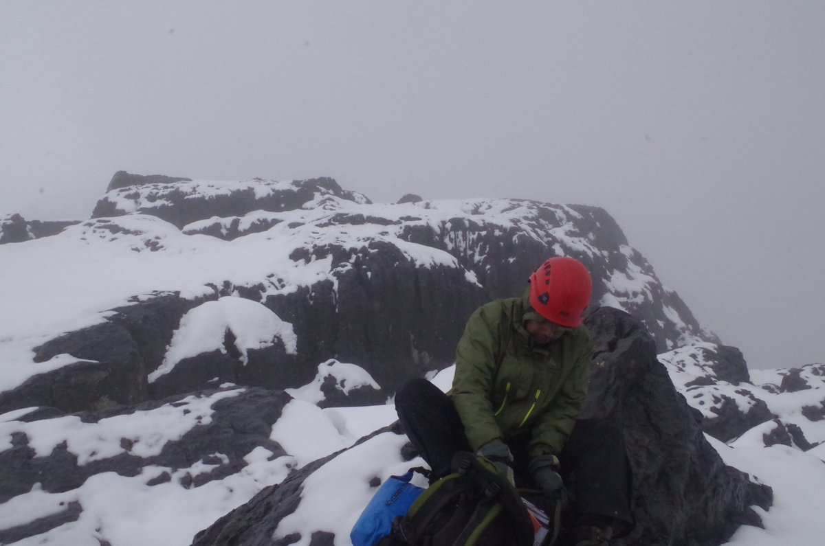 Zebra Wall (@zebrawall) on Twitter photo 