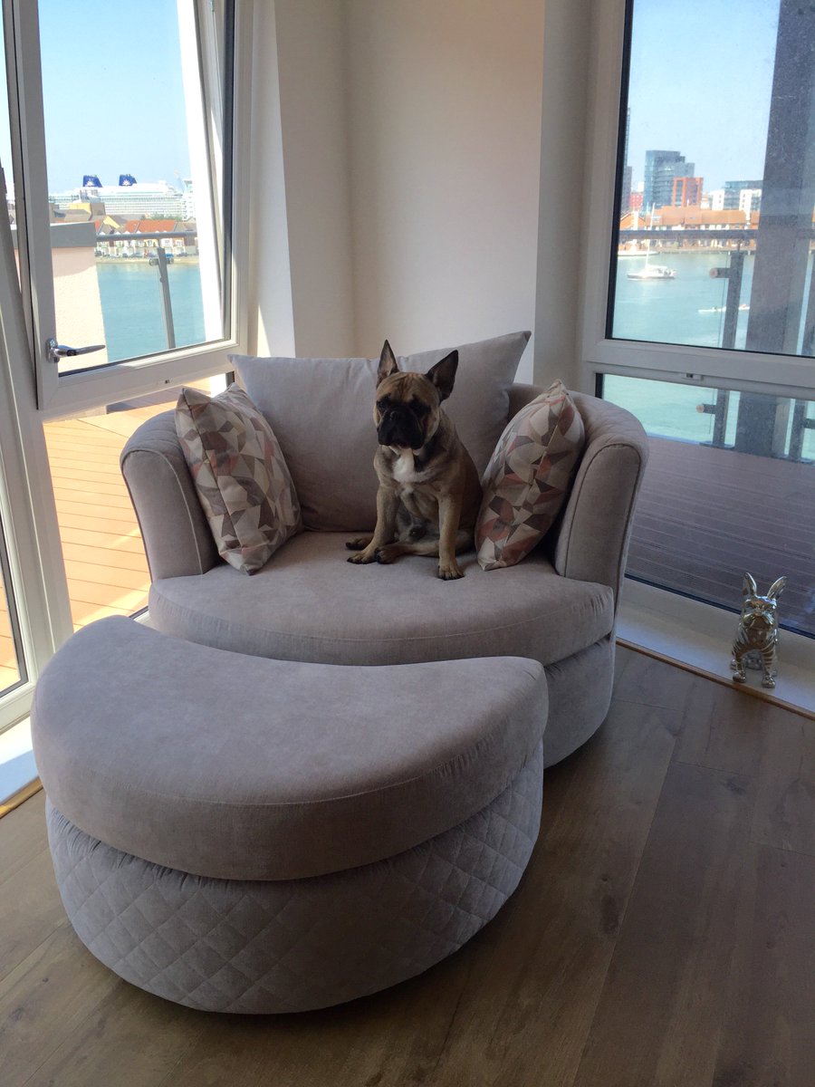 DFS's tweet photo. Put your fave chair in the window and admire the view! π #dogsoftwitter #mondaymotivation #dfsPets #mydfs https://t.co/JRfgOB5aZs