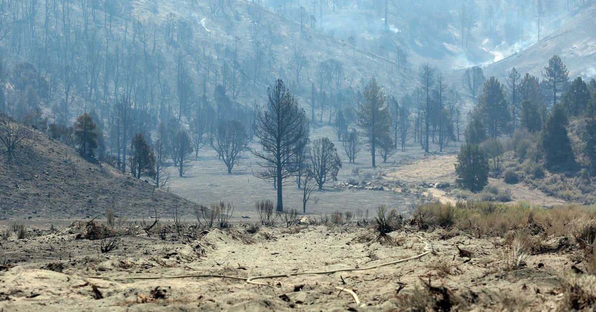 Time2ChooseFilm's tweet photo. #GlobalWarming making Calif. wildfire season longer, more severe: https://t.co/EXcUTGPFil https://t.co/qt0GZRSN8J